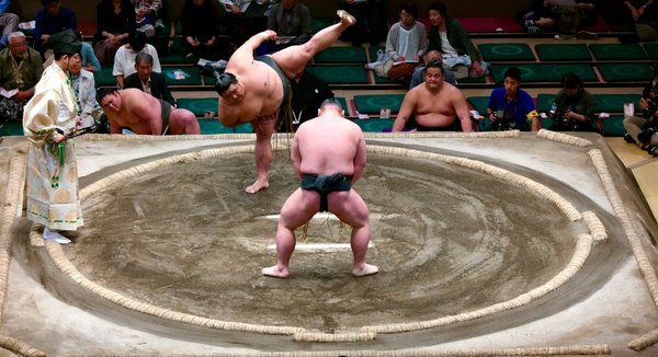 Quels sont les bénéfices de l'entraînement de Sumo pour améliorer la force du noyau chez les haltérophiles?