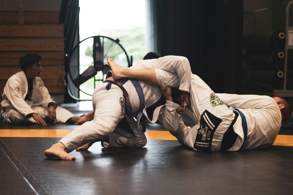 En quoi la pratique de l'Hapkido est-elle efficace dans la maîtrise de soi et la gestion de la colère?